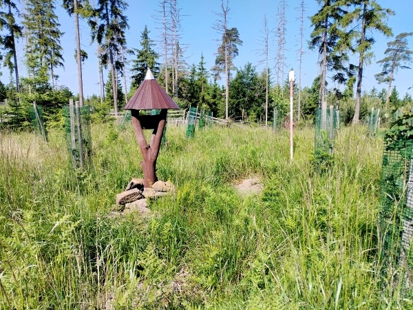 Studánka na Ranském Babylonu